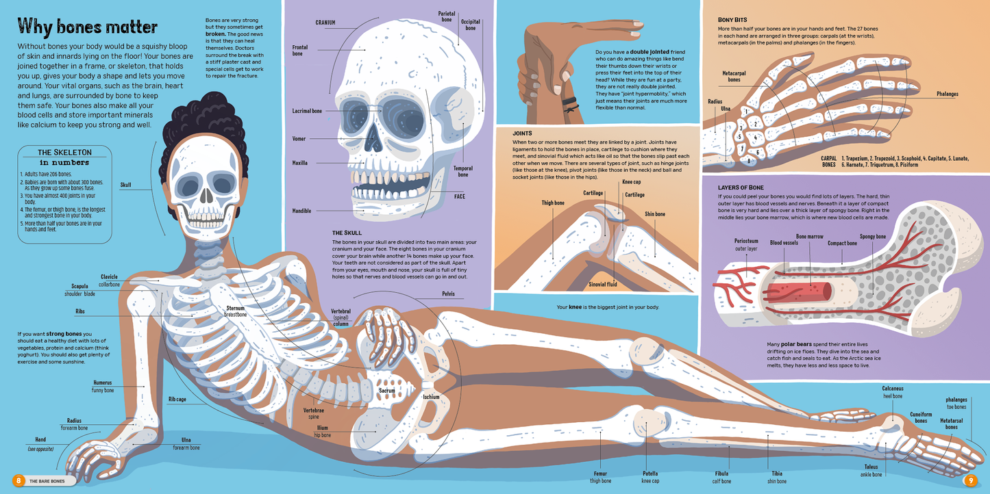 The Atlas of the Incredible Human Body