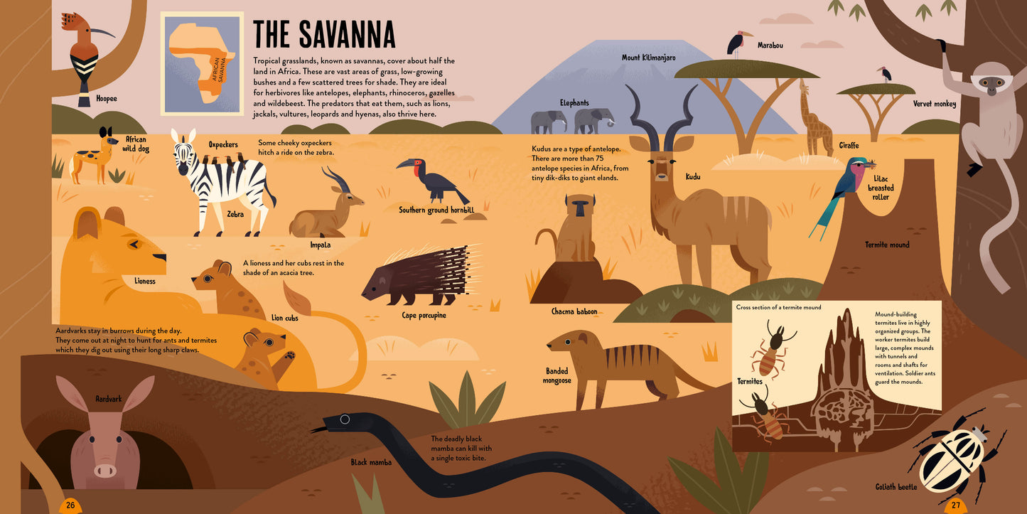 Amazing Animal Atlas