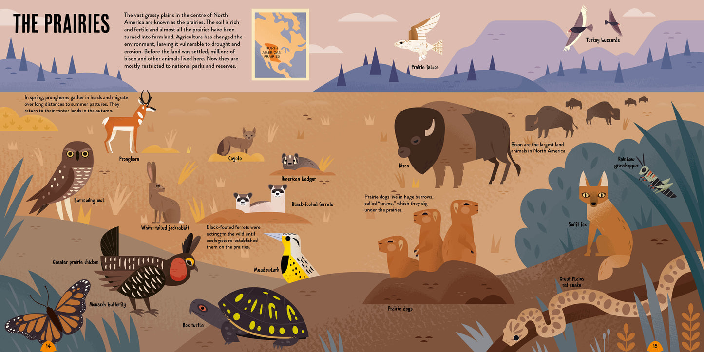 Amazing Animal Atlas