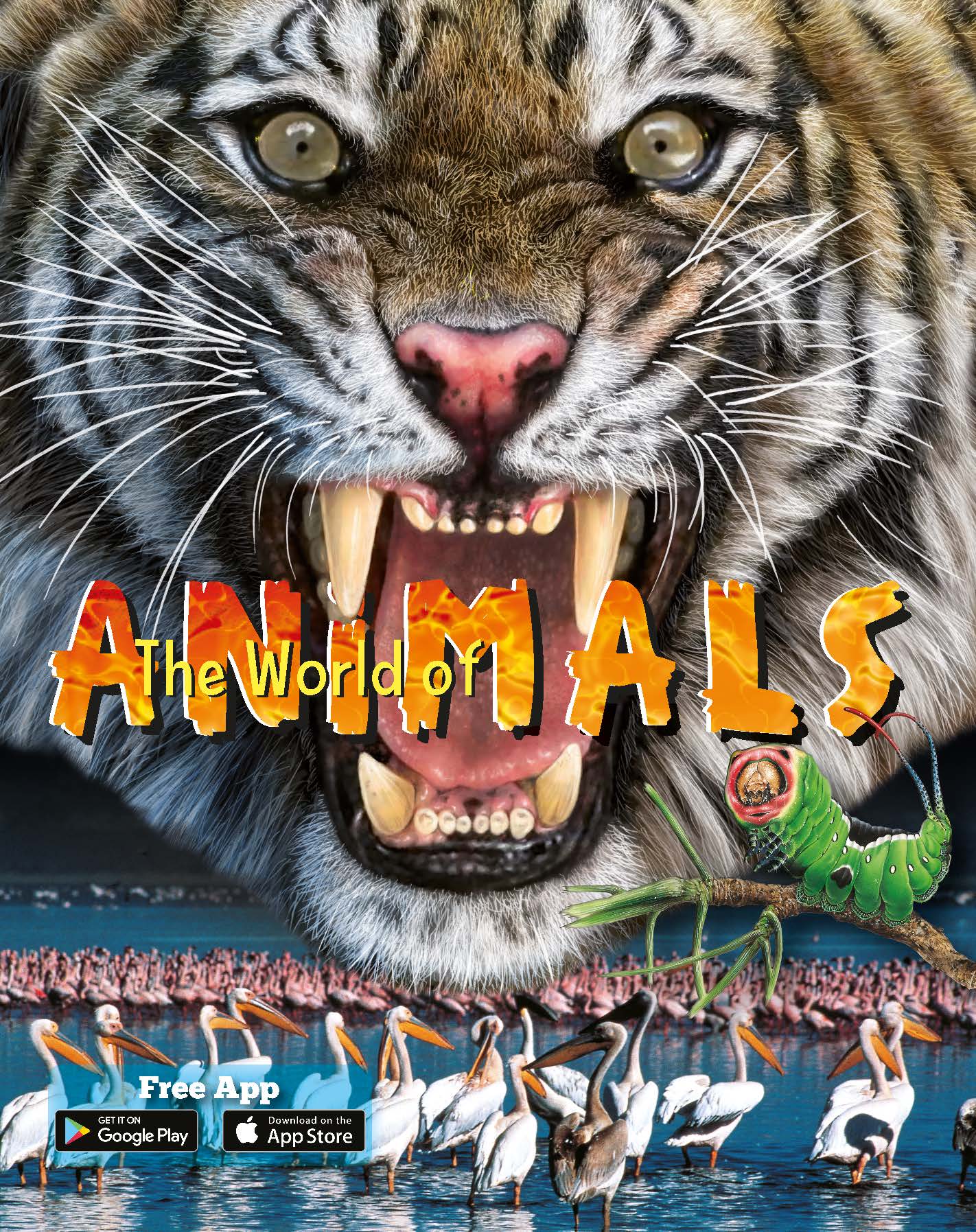 The World of Animals